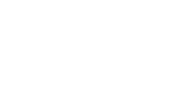 FORMIDABLE GROUP LLC logo