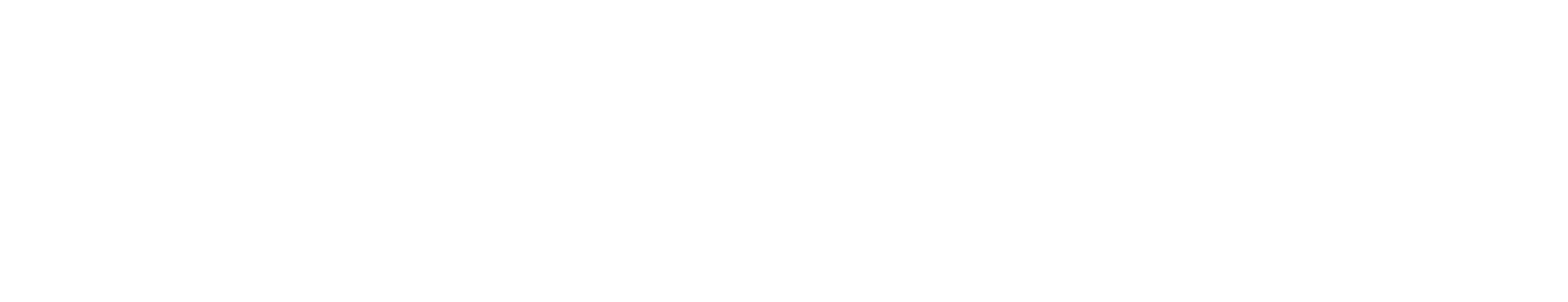 FORREST HILLS MOUNTAIN RESORT, LLC logo