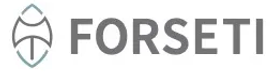 FORSETI LLC logo