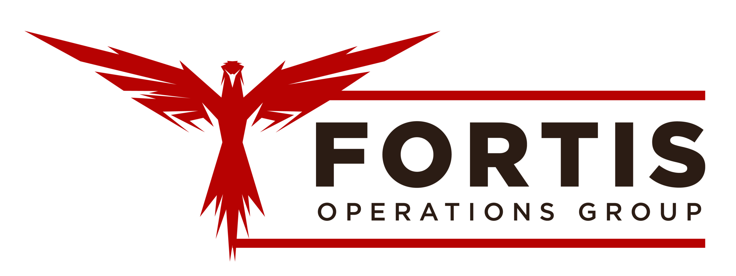 FORTIS OPERATIONS GROUP, LLC logo