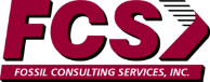 FOSSIL CONSULTING SERVICES INC logo