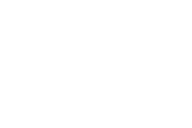 FRONTLINE PARTNERS LLC logo
