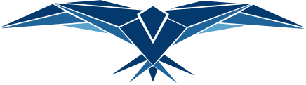 FUNDAMENTALS FLIGHT TRAINING LLC logo