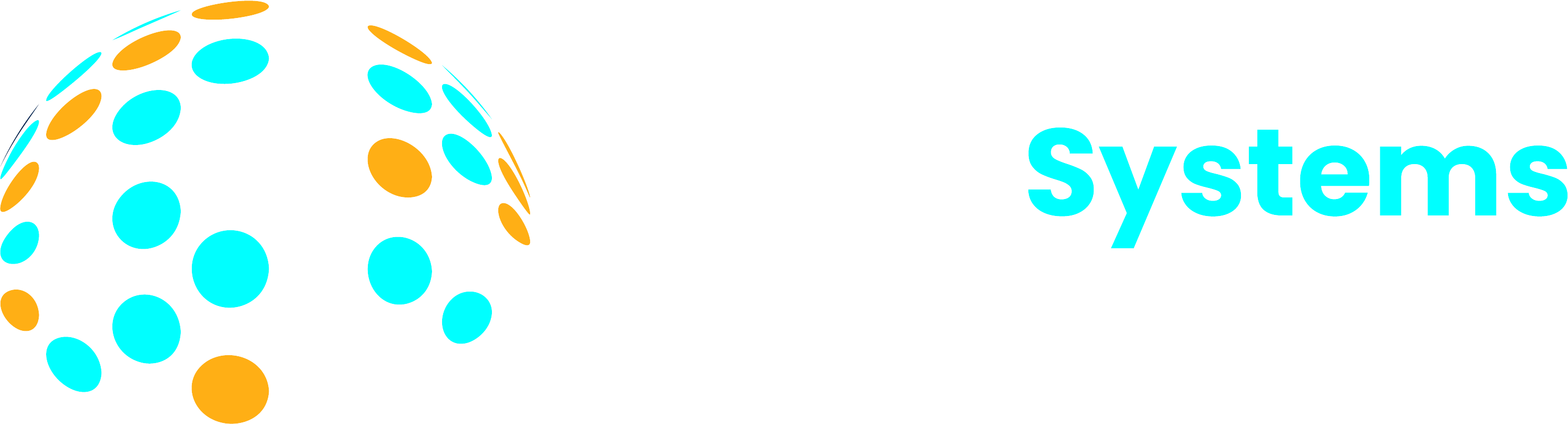 FUSION SYSTEMS & SERVICES INC logo