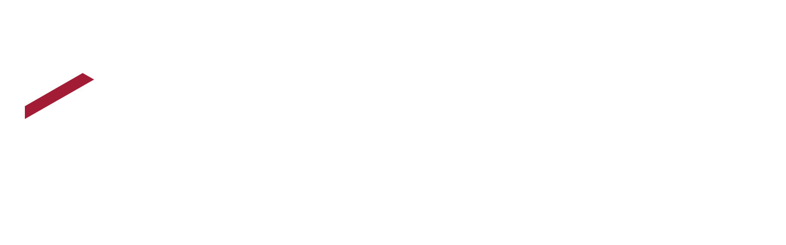 FUTRAN SOLUTIONS INC logo