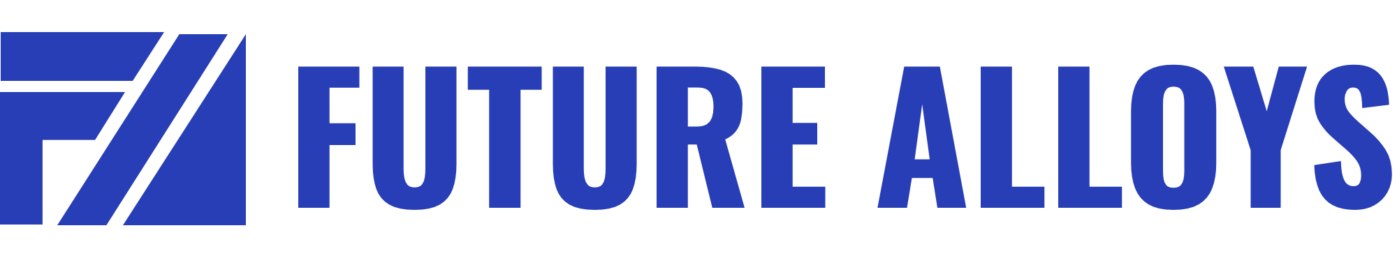 FUTURE ALLOYS INC logo