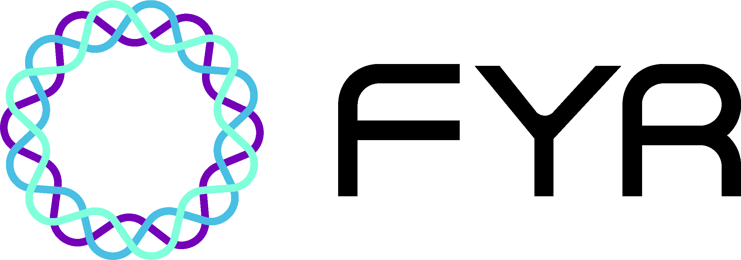 FYR DIAGNOSTICS INC logo