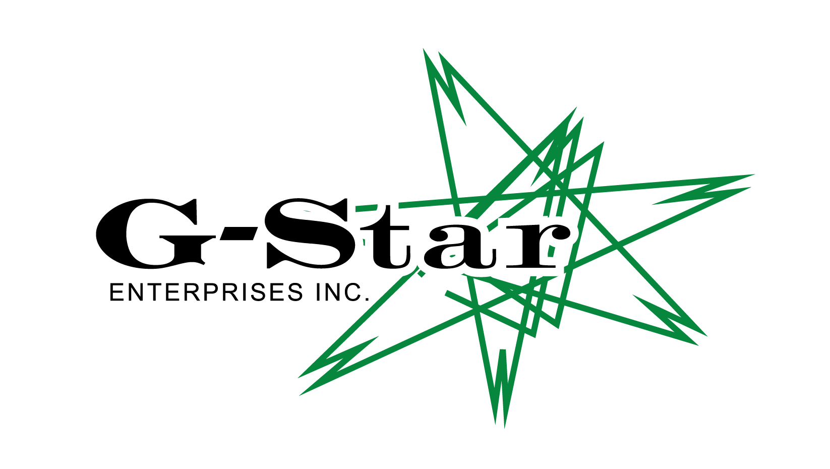 G-STAR ENTERPRISES, INC logo