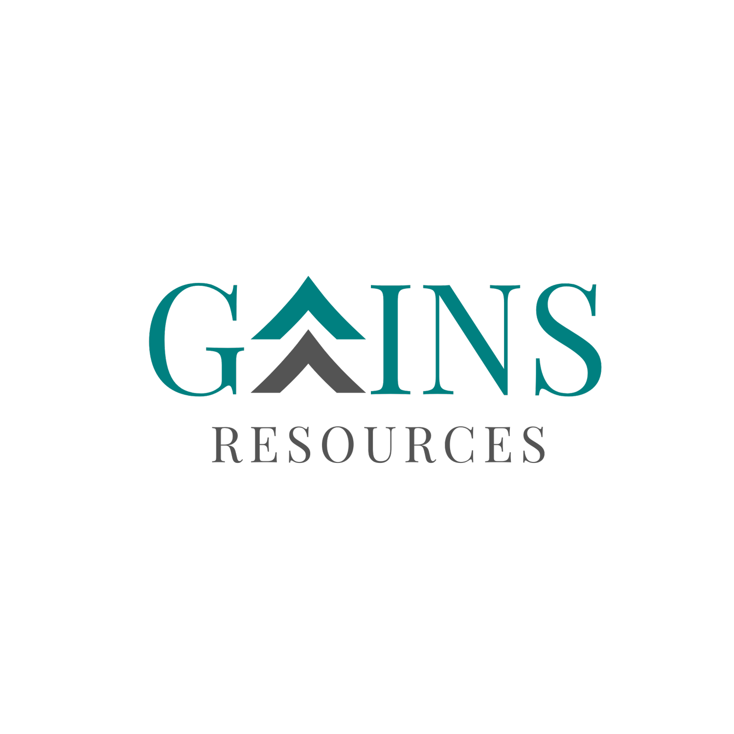 GAINS RESOURCES LLC logo