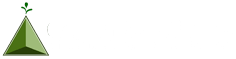 GEMINI SOLUTIONS, INC logo
