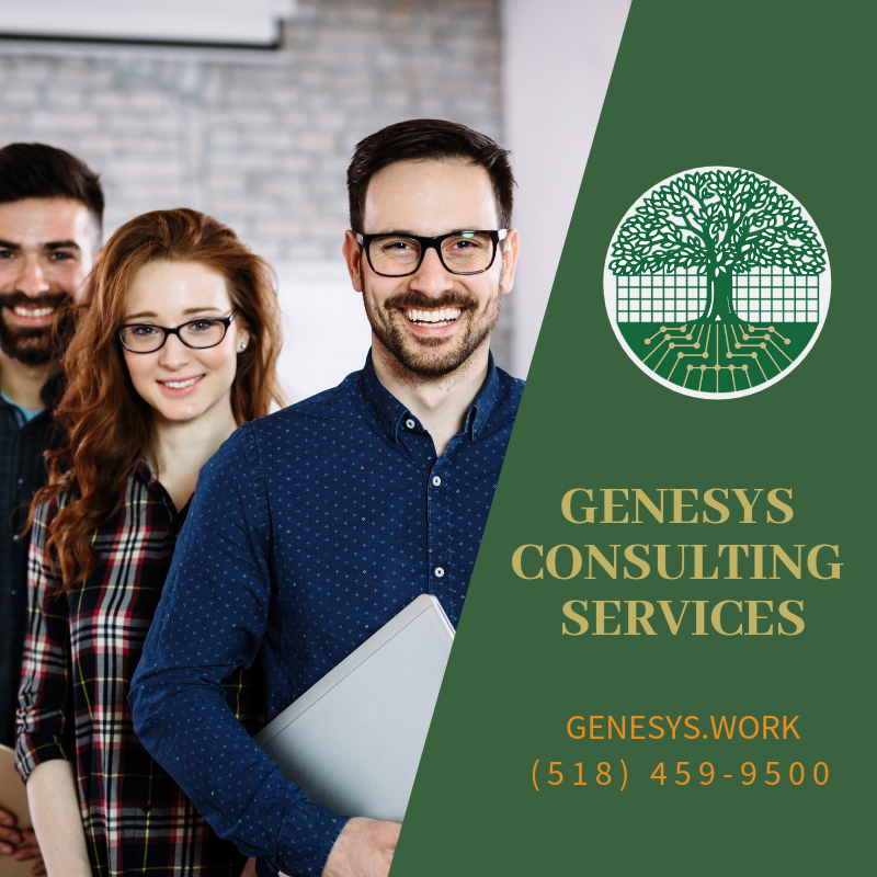 GENESYS CONSULTING SERVICES INC logo