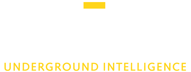 GEODESIGN INC logo