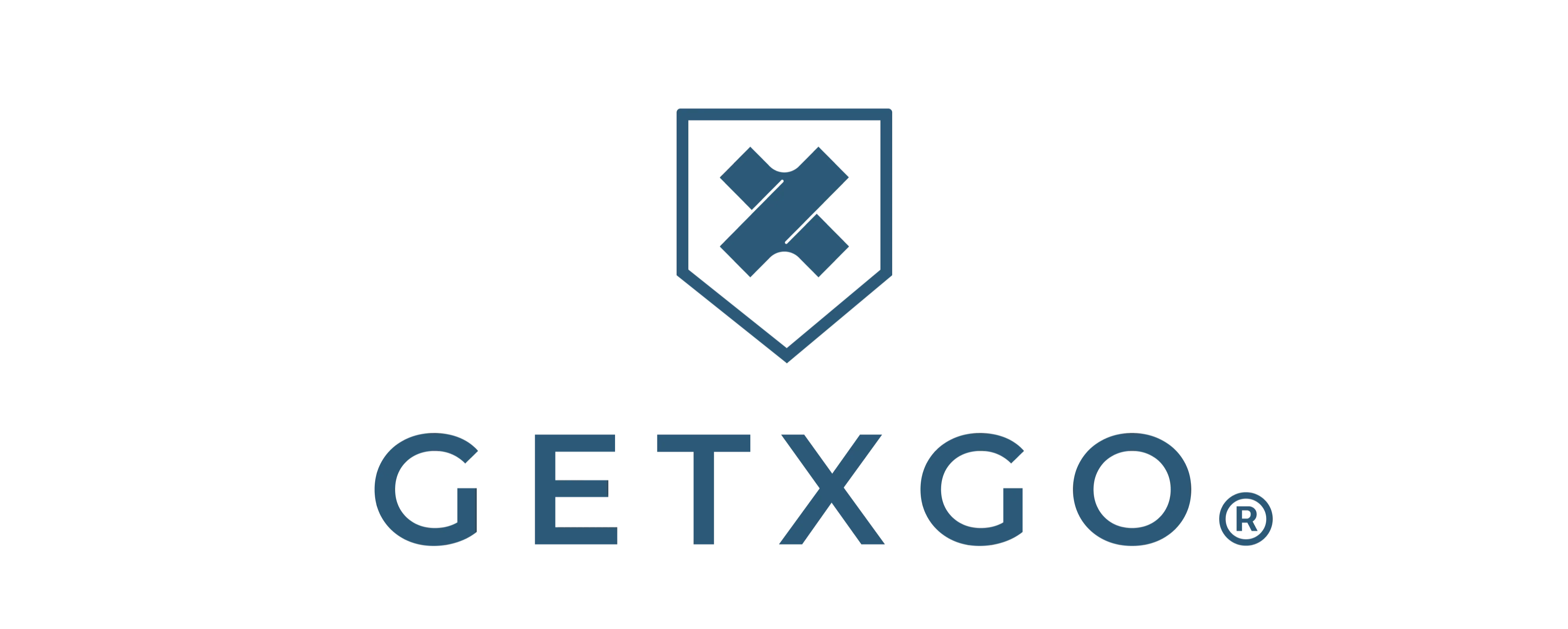 GETXGO GROUP LLC logo