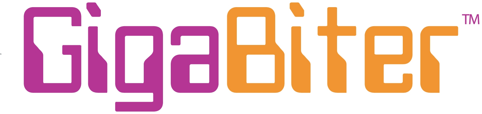 GIGABITER GOV LLC logo