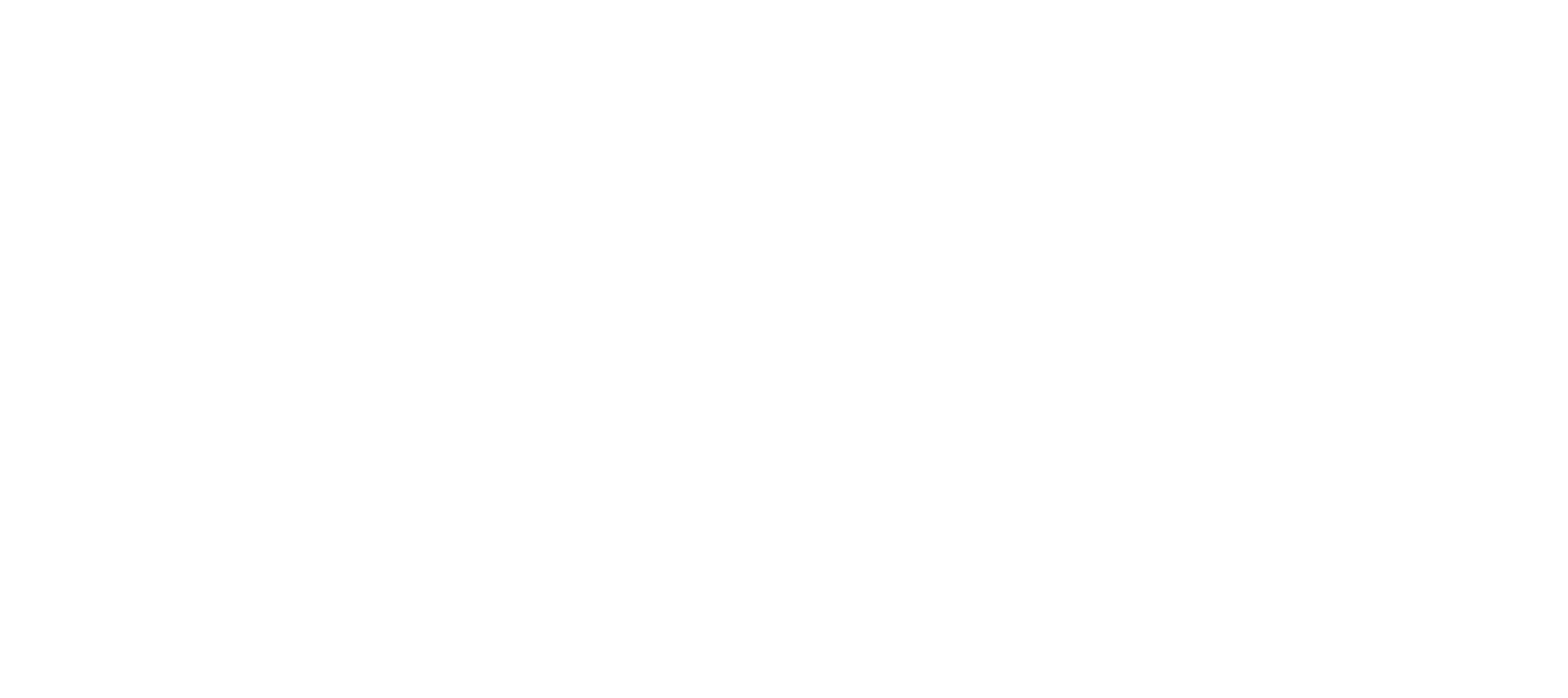 GLOBAFLY INC logo