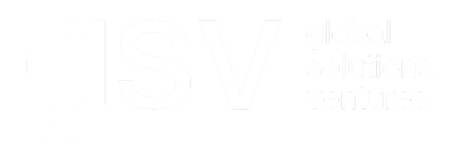 GLOBAL SOLUTIONS VENTURES, LLC logo