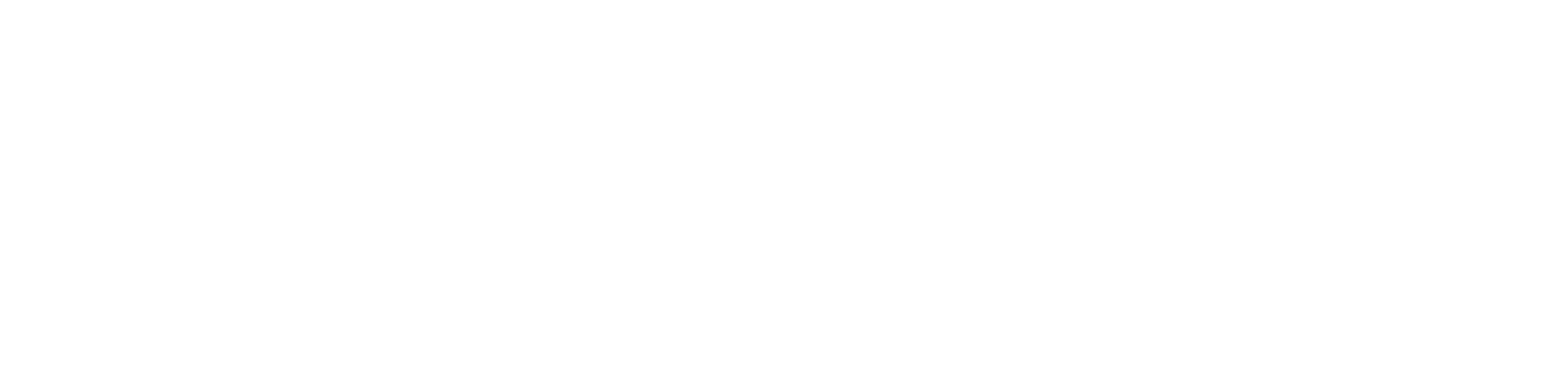 GLOBAL SPACE EXCHANGE INC logo