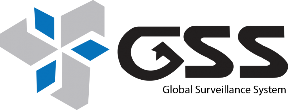 GLOBAL SURVEILLANCE SYSTEM INC logo