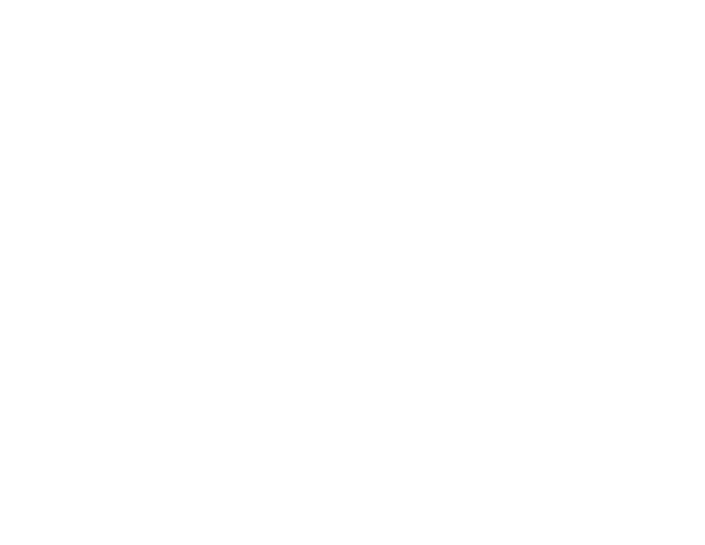 GOFORTH WILLIAMSON INC logo