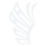 GOLDBELT FALCON LLC logo