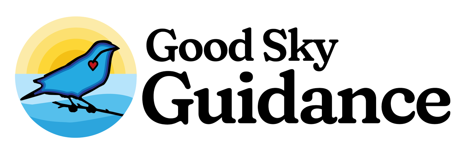 GOOD SKY GUIDANCE LLC logo