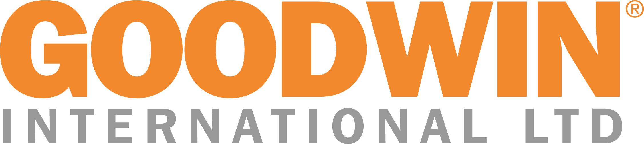 GOODWIN INTERNATIONAL LTD logo