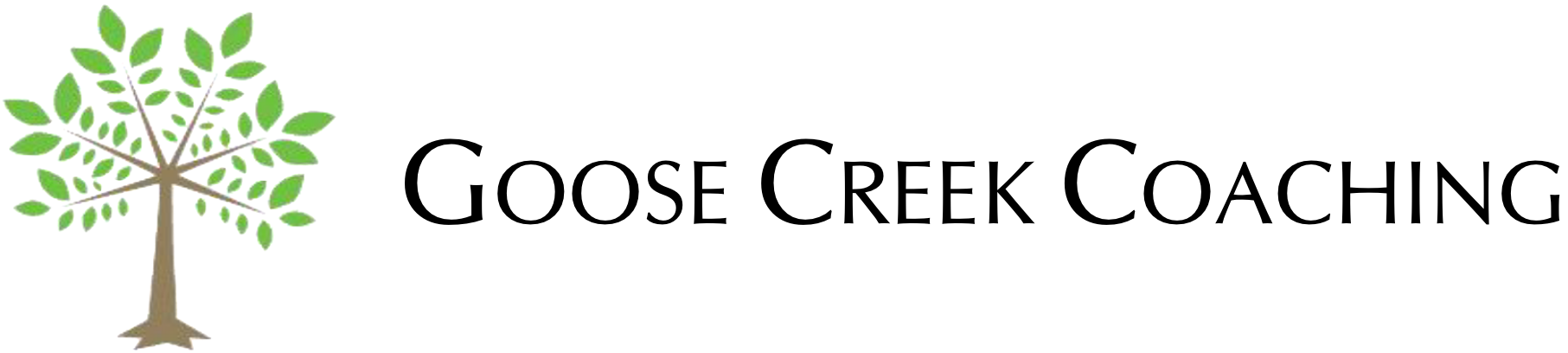 GOOSE CREEK COACHING logo