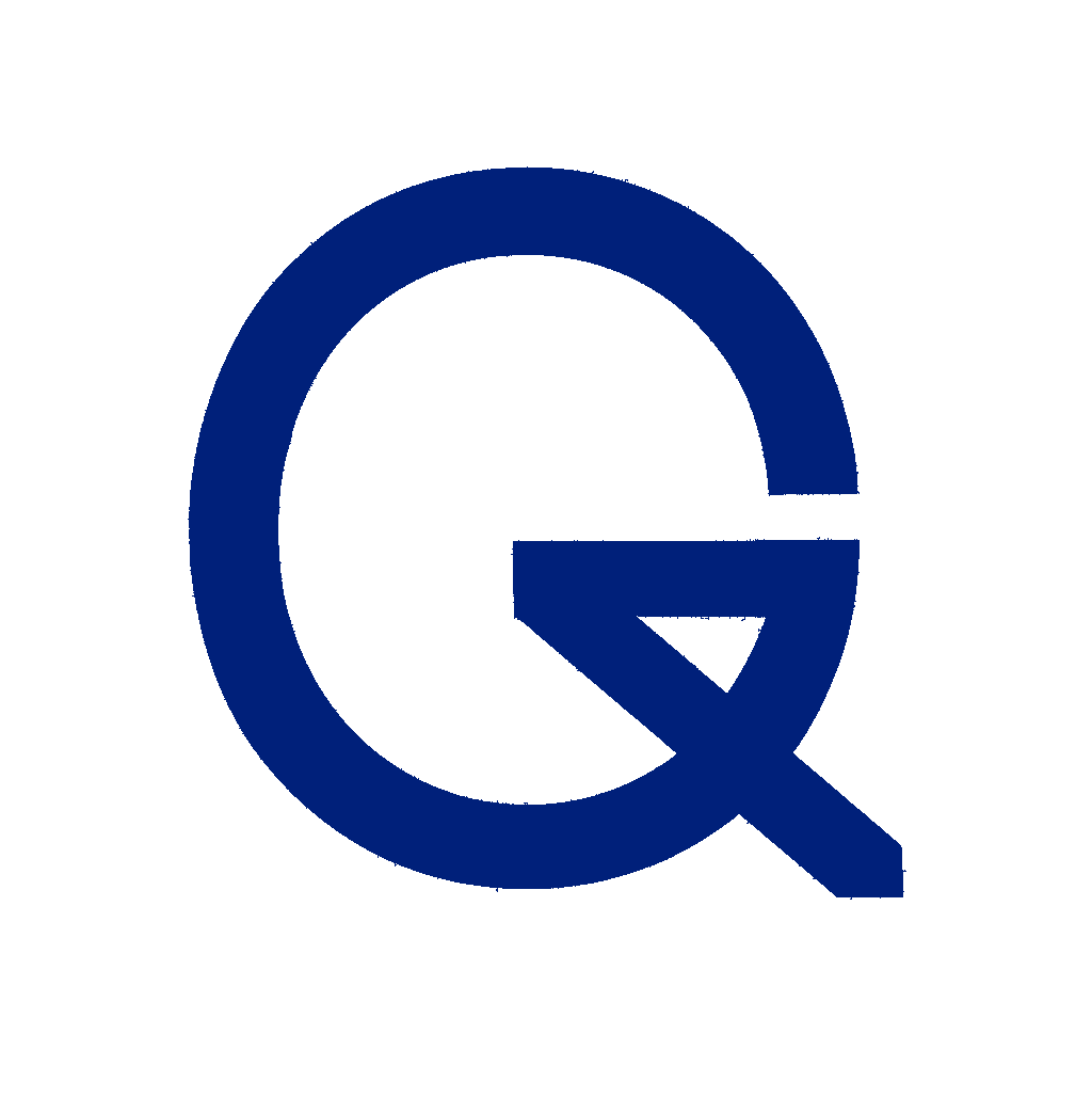 GOVIQ SOLUTIONS LLC logo