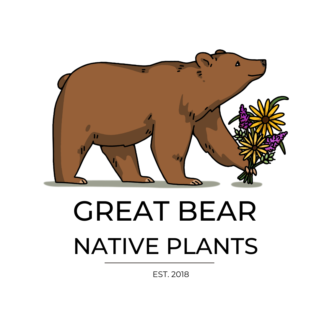 GREAT BEAR NATIVE PLANTS LLC logo