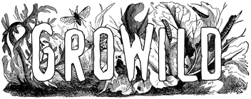 GROWILD INC logo