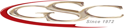 GSC SYSTEMS INC logo