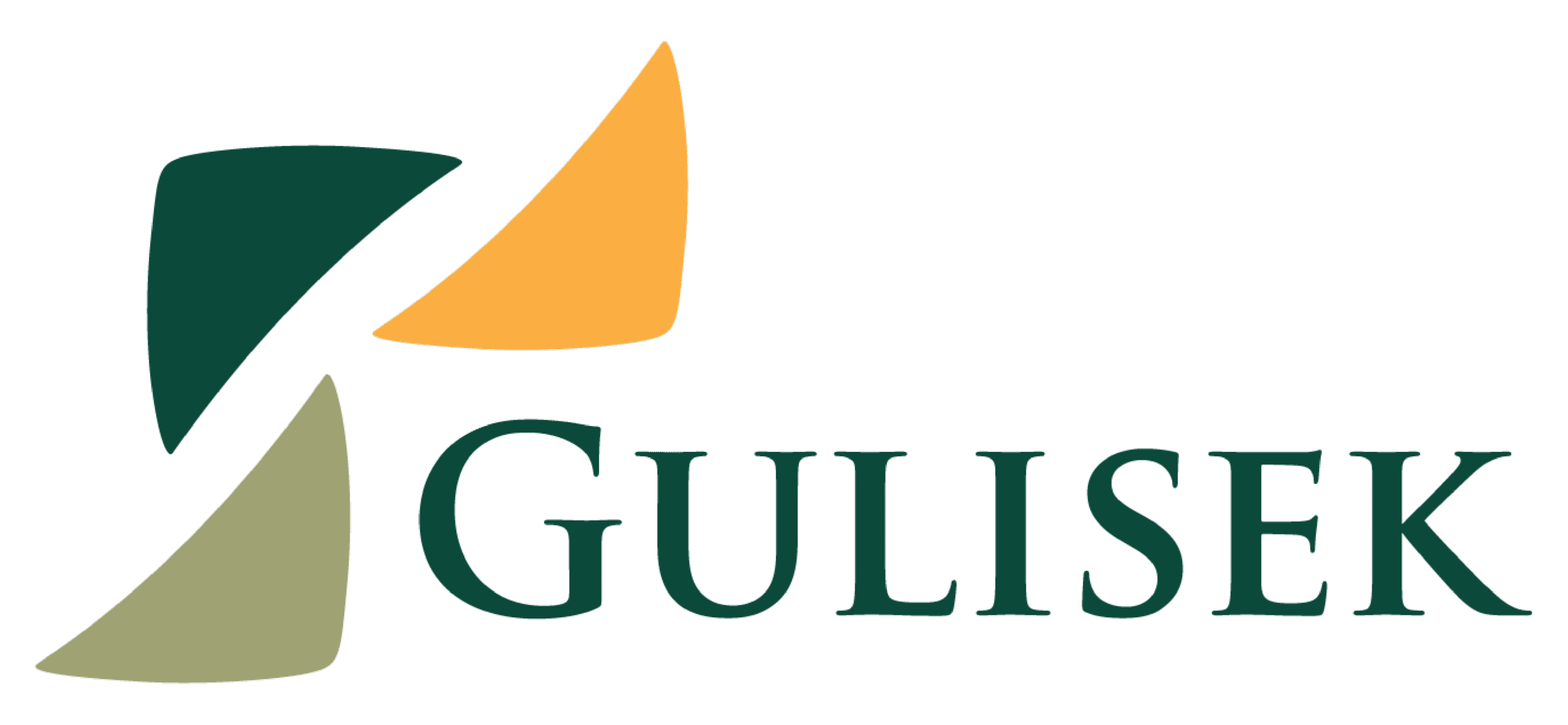 GULISEK CONSTRUCTION, LLC logo