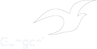 GUNGCHIL CONSULTING LLC logo
