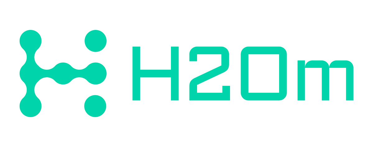 H2OM.AI LLC logo