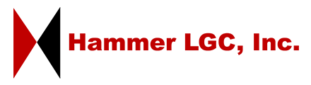 HAMMER LGC INC logo