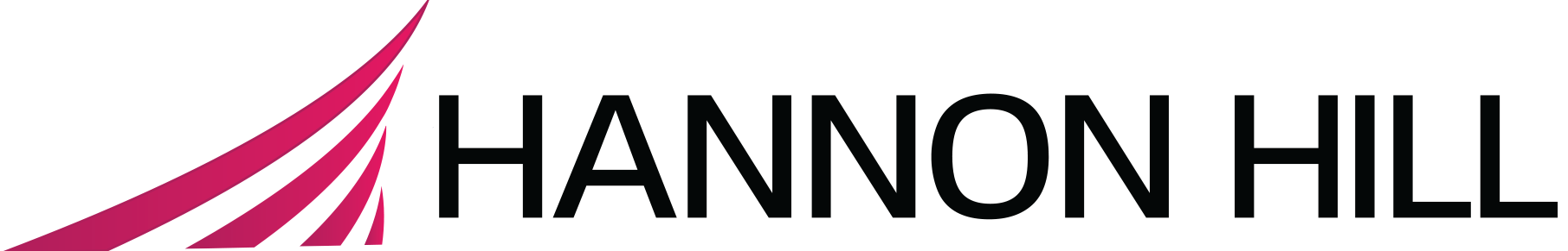 HANNON HILL CORP logo