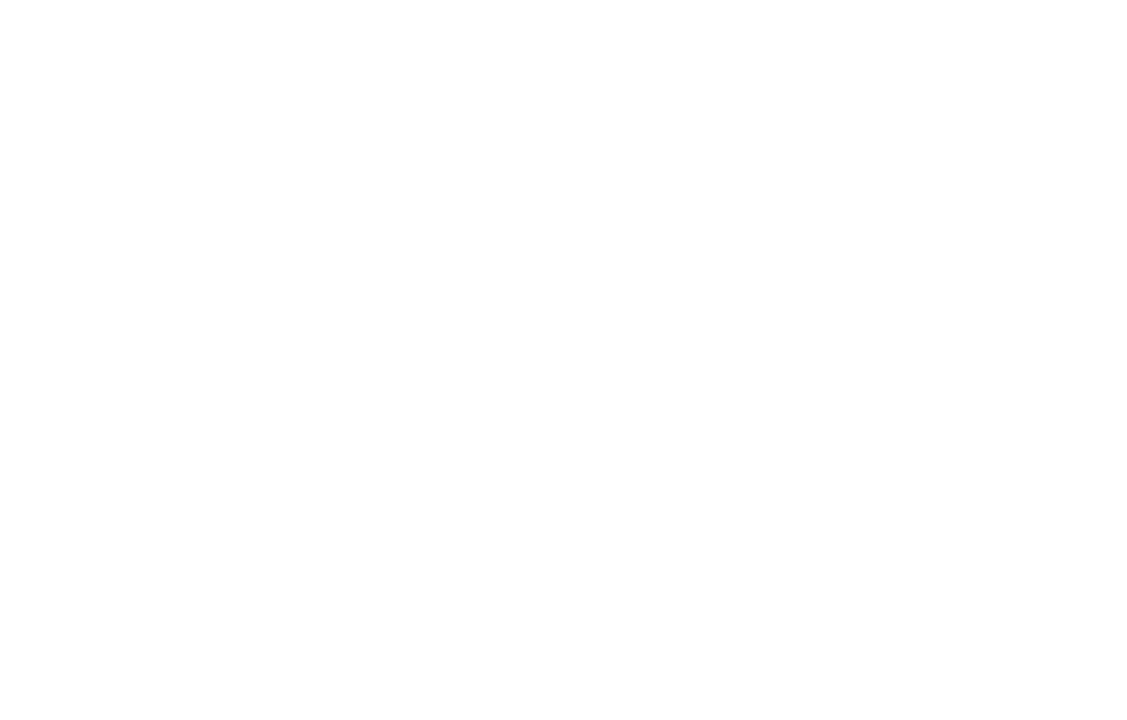 HARNESS SAFETY SYSTEMS LLC logo