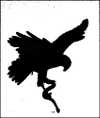 HAWKESLEY ASSOCIATES LLC logo