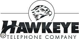 HAWKEYE INTERCONNECT COMPANY logo