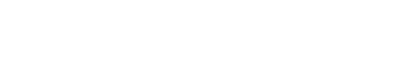 HAYES CUSTOM GUNS LLC logo