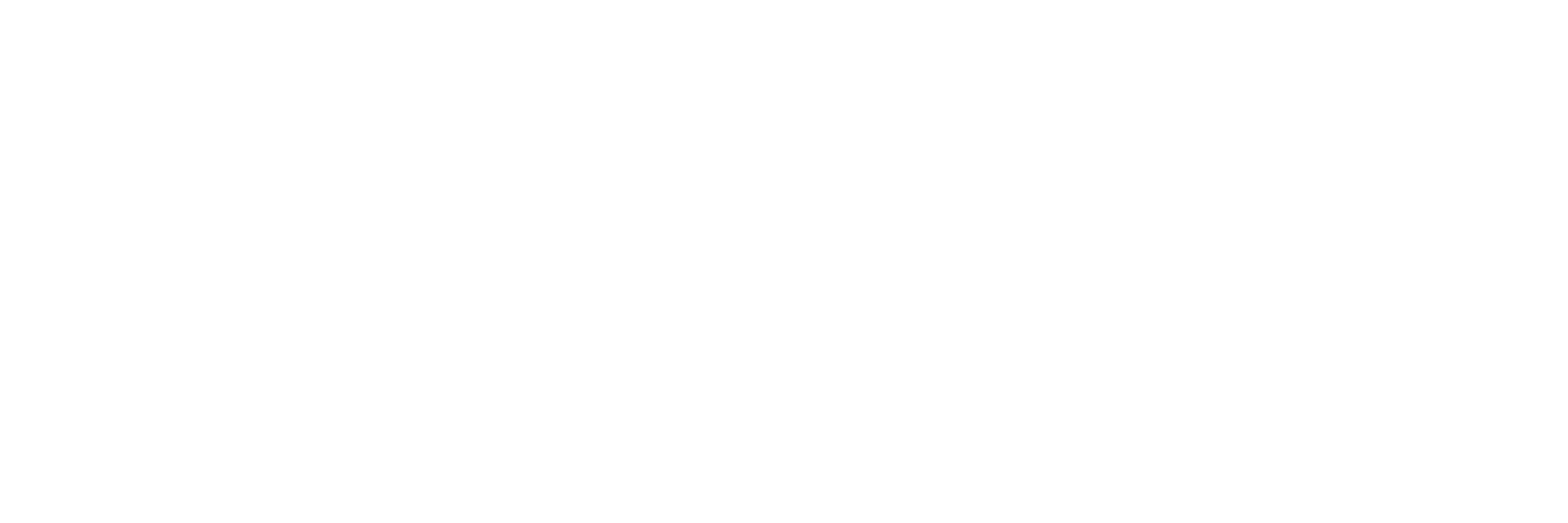 HEALTH INFORMATION ASSOCIATES, INC logo