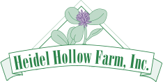 HEIDEL HOLLOW FARM, INC. logo