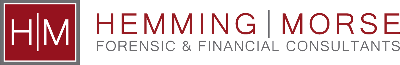HEMMING MORSE, LLC logo