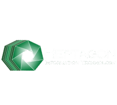 HEPTAGON INFORMATION TECHNOLOGY LLC logo