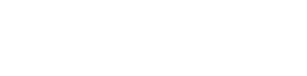 HERZOG TRANSIT SERVICES INC logo