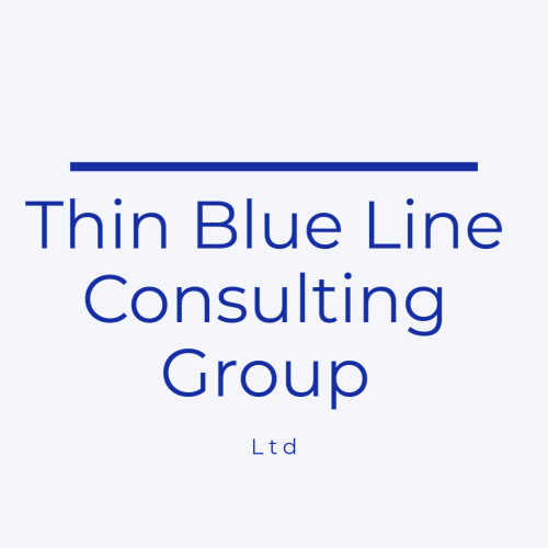 HIROKAWA CONSULTING GROUP LTD logo