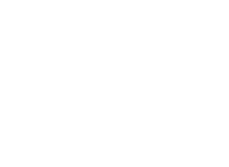 HIS HANDS LANDSCAPE CONSTRUCTION INC logo