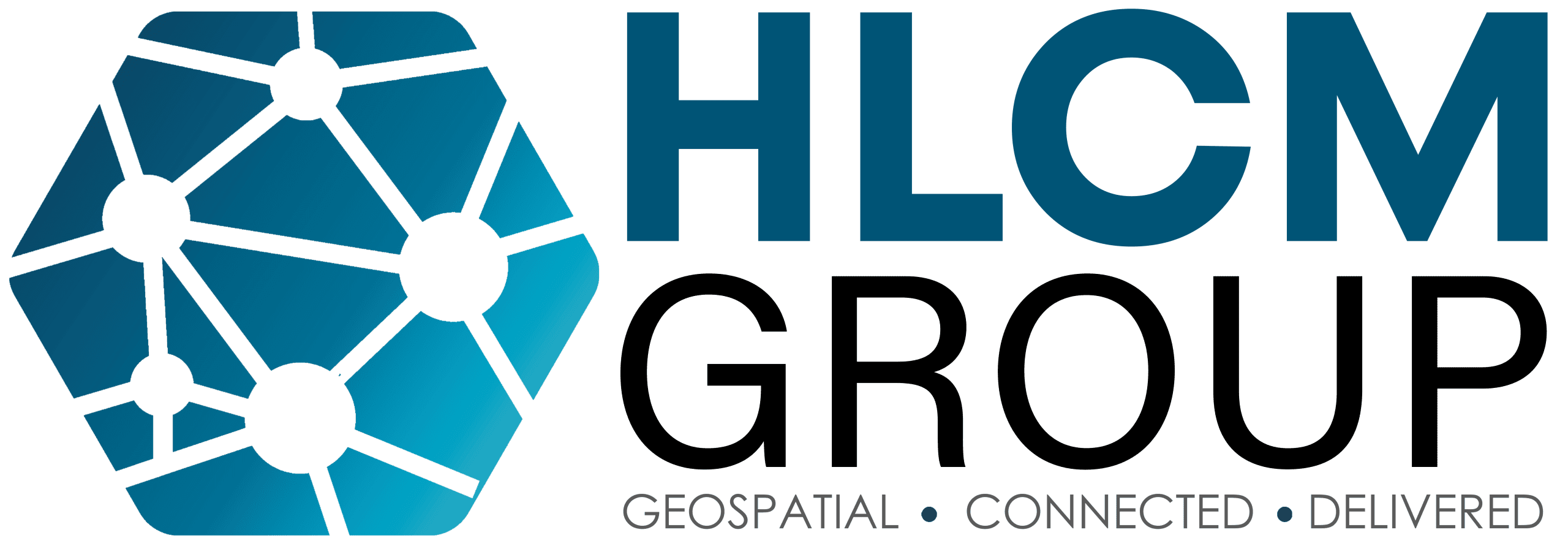 HLCM GROUP, INC. logo