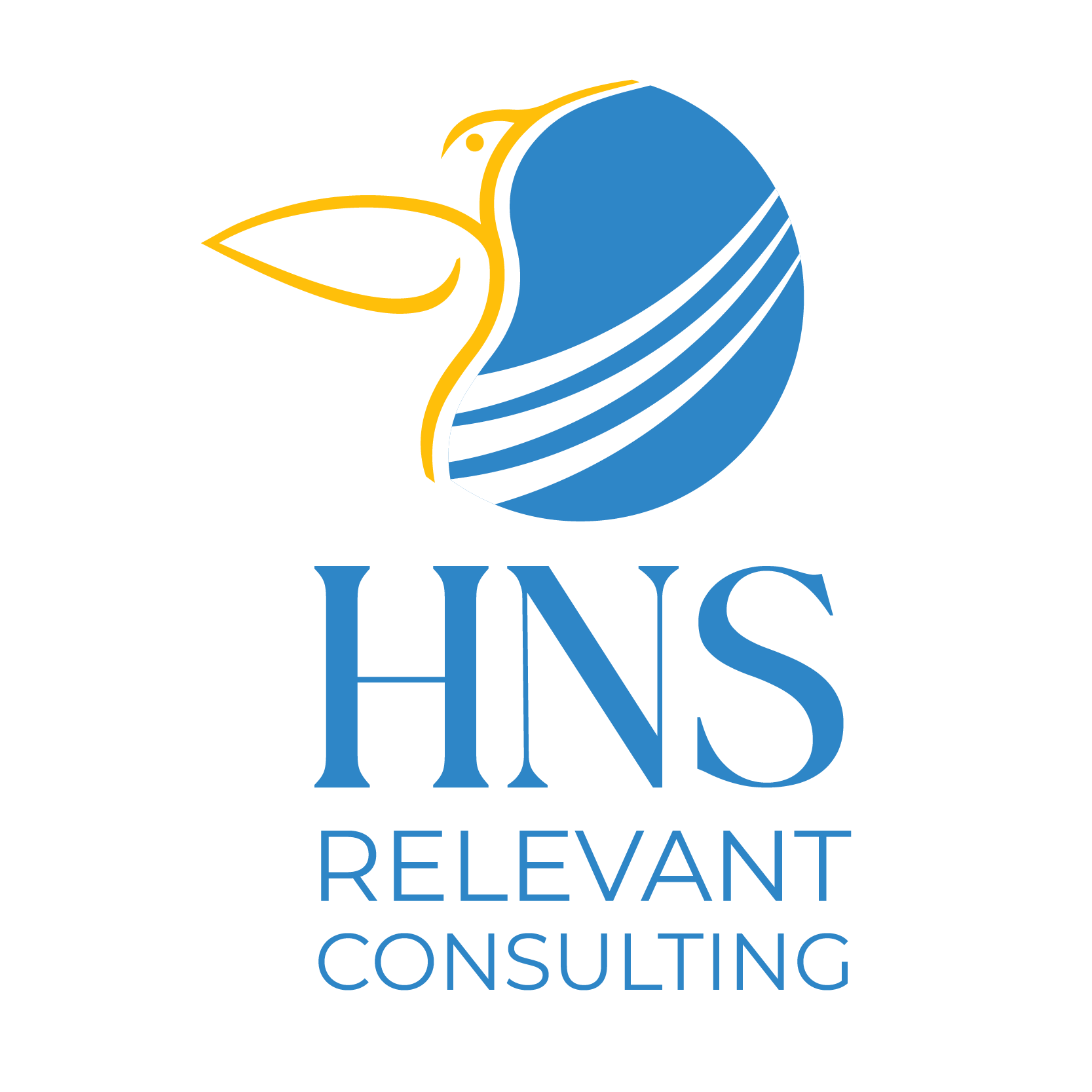 HNS RELEVANT CONSULTING LLC logo