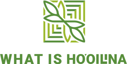 HO OILINA SERVICES LLC logo